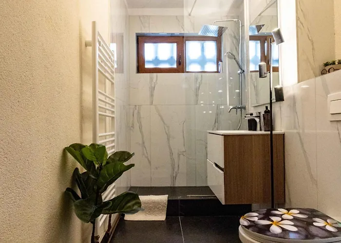 Rum Apartment * Kolozsvár